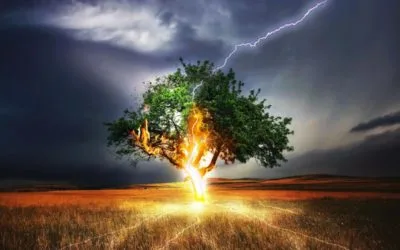 Orgasms, Kundalini, Awakening & Embodiment – Wtf?