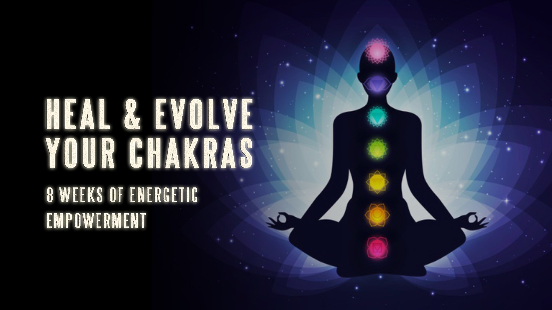 Heal & Evolve Your Chakras